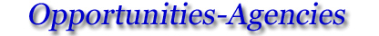 P3 Opportunities - Agencies