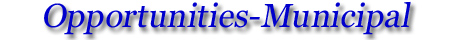 P3 Opportunities - Municipal